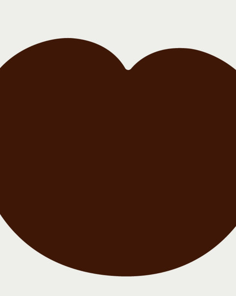 Reishi e Sistema Cardiovascolare: alleato naturale per la salute del cuore