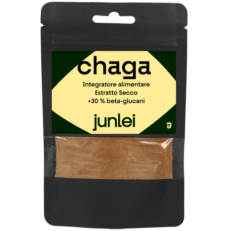 Chaga Estratto secco 50g