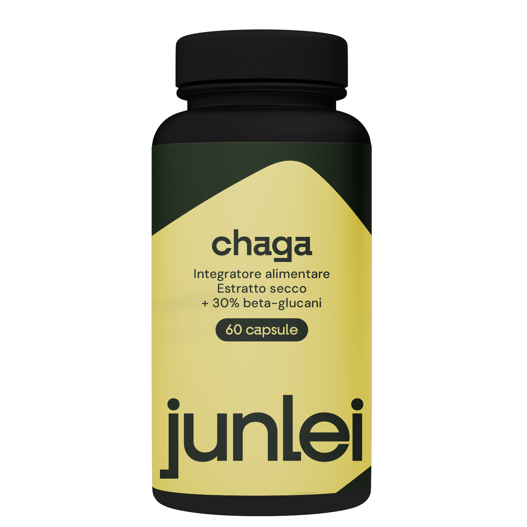 Chaga