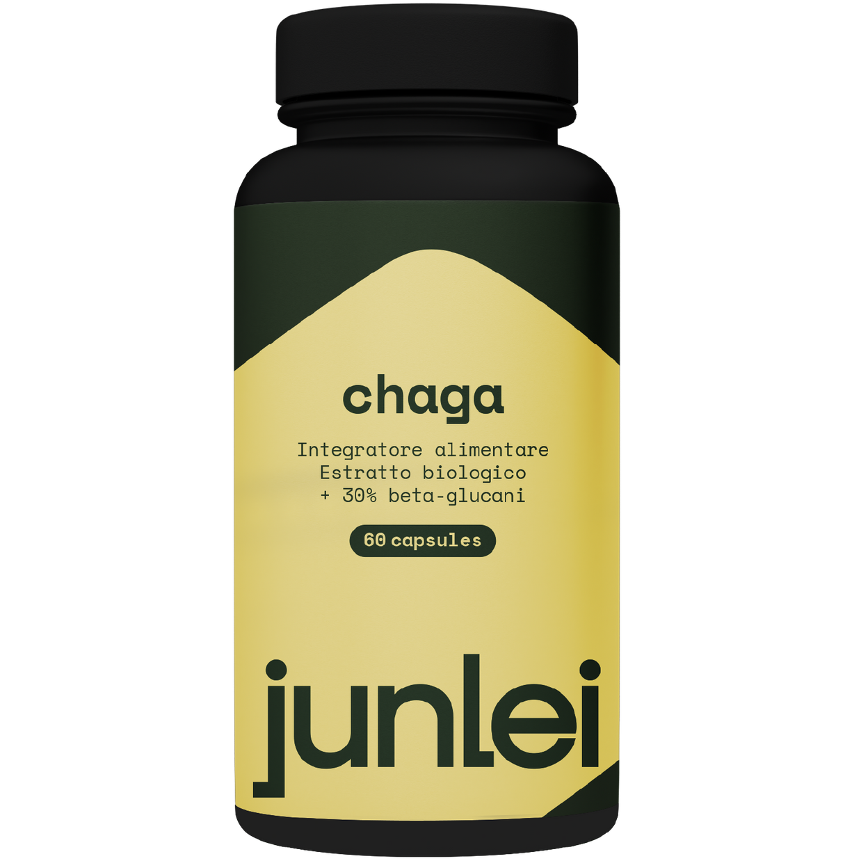 Chaga